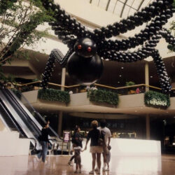 halloween-araxni-mayri-apo-mpalonia-emporiko-katastima