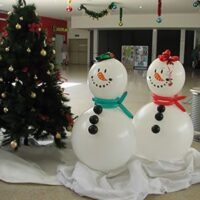 hionanthropos-balonia-1