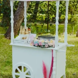 gelato/premium για εκδηλώσεις