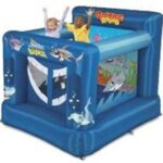 Μικρό φουσκωτό