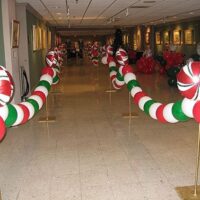 zaharota-apo-balonia