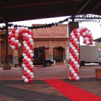 zaharota-apo-balonia3