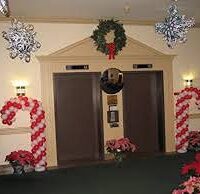 zaharota-apo-balonia4